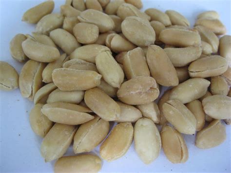 Best Quality Fried Salted Peanut Kernels Jumbo Size China Peanut