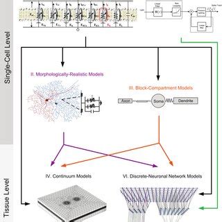 T Six Types Of Computational Models Typically Used In Retinal Neuron