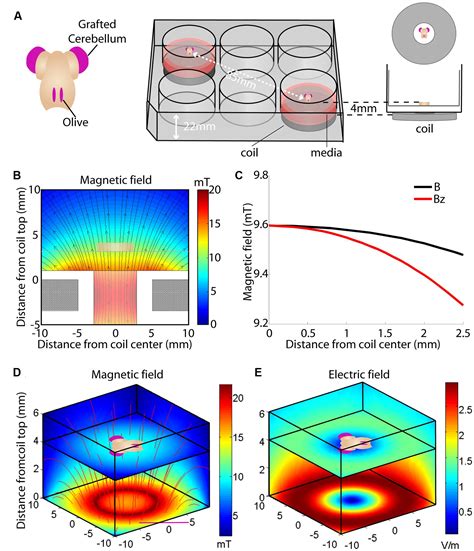 Frontiers In Vitro Magnetic Stimulation A Simple Stimulation Device To Deliver Defined Low