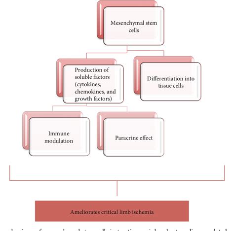 Figure 1 From A Molecular And Clinical Review Of Stem Cell Therapy In Critical Limb Ischemia