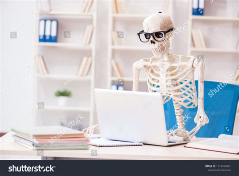 11879 Skeleton Book Images Stock Photos And Vectors Shutterstock