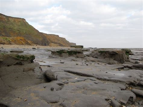 Walton-on-the-Naze (Essex) | Discovering Fossils