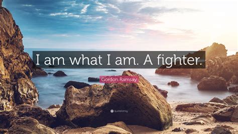 Gordon Ramsay Quote: “I am what I am. A fighter.”