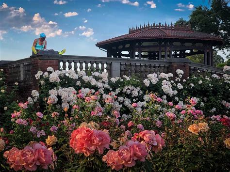 The Unexpected Charm of Peninsula Park Rose Gardens – You'll Be Amazed!