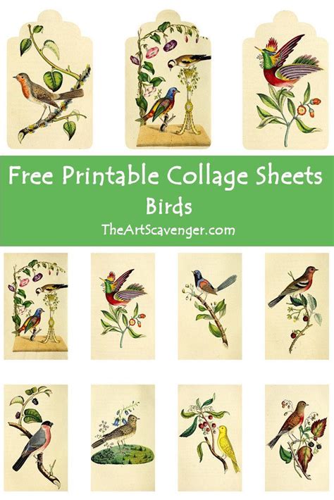 Printable Art Free Printables Printable Vintage Vintage Bird