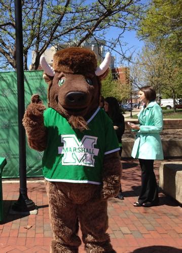 Mascot tryouts on MU campus | | herald-dispatch.com