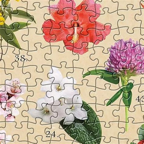 Quebra Cabeça Flores - Quebra-cabeça De Flores 1000 Peças, Quebra-cabeça De Planta ...