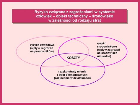 Ocena Ryzyka Zawodowego W Procesie Zarz Dzania Bezpiecze Stwem I