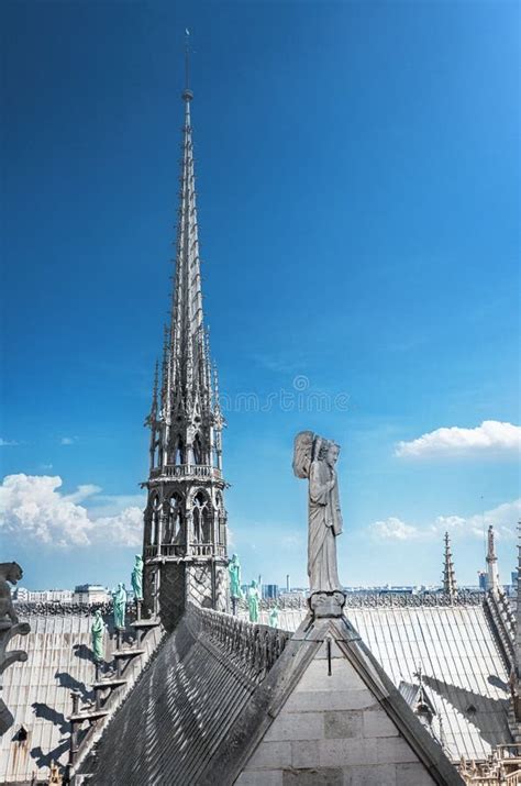 La Fl Che De La Cath Drale De Notre Dame Image Stock Image Du