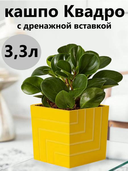 Live-in-green Горшок для цветов, 16 см х 16 см х 16 см, 3 л, 1 шт ...