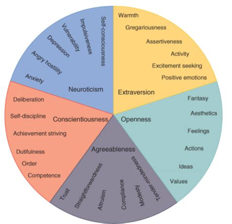 Five Factor Model Of Personality Flashcards Quizlet