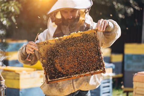 Premium Photo The Beekeeper Holds A Honey Cell With Bees In His Hands