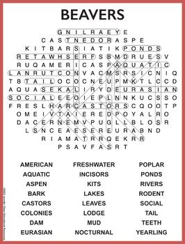 Beavers Word Search By Jennifer Olson Educational Resources Tpt