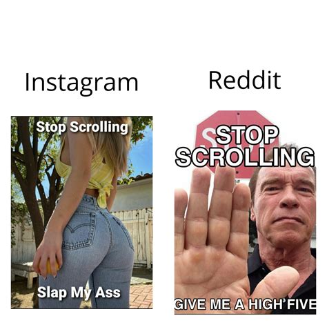 Reddit Still Horny Do R Memes