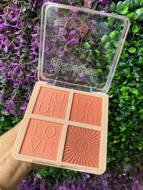 BLUSH EN POLVO NUDE LOVE Eimy Importadora
