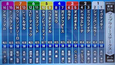 🔥主役不在の💥大混戦レース ️【第41回フェブラリーステークス】展望 掲示板 マイネ王