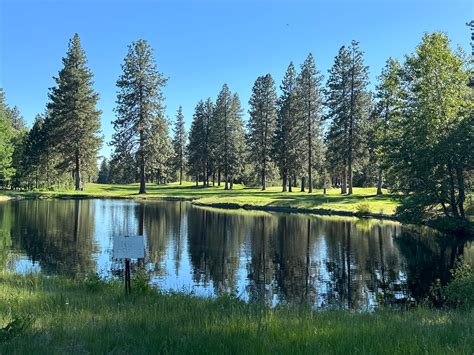 Course Review: Widgi Creek Golf Club - A Local Favorite in Bend, OR
