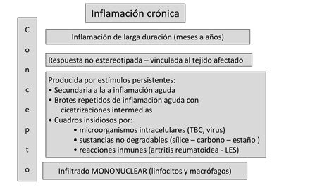 5 Fisiopatología de la Inflamación pdf