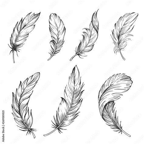 Set Of Bird Feathers Hand Drawn Illustration Converted To Vector