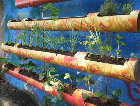 Вертикальное озеленение своими руками: 20 фото и схемы