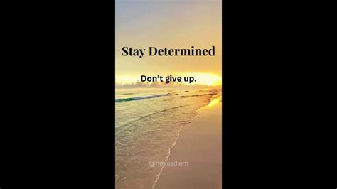 Stay Determined Youtube