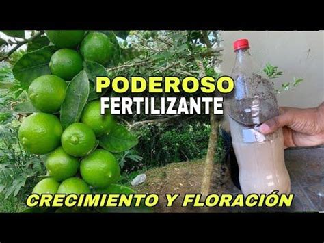 PODEROSO ABONO Crecimiento y Floración Aplica este poderoso para que