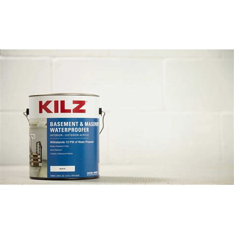 kilz paint and mold 8