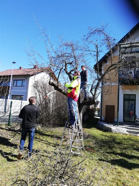 Land Und Forstwirt Im Zweiten Bildungsweg Kobenz