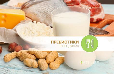 Лучшие пробиотики с пребиотиками — 🏆 ТОП препаратов