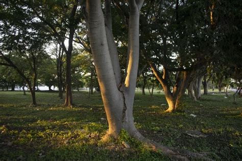 En Yucatán activistas apuestan por proyectos de regeneración urbana en