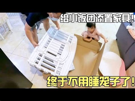 给小饭团添置家具终于不用睡笼子了饭团好开心春夏游记 YouTube