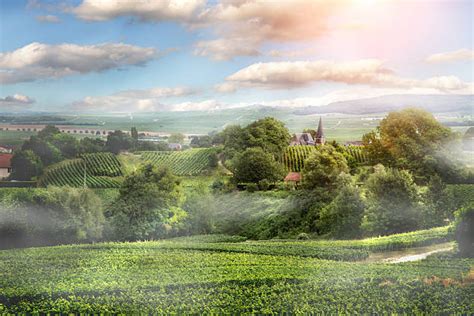 18,400点を超えるシャンパーニュ地方 写真のストックフォト、写真、そしてロイヤリティフリーの画像 - iStock