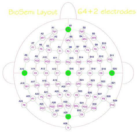 Location Of The Electrodes In The Biosemi Eeg Head Cap Download