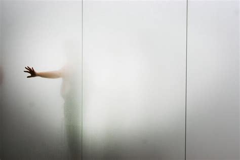 Растения за матовым стеклом с подсветкой - 66 фото