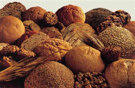Gastronomía De Europa Arecetas