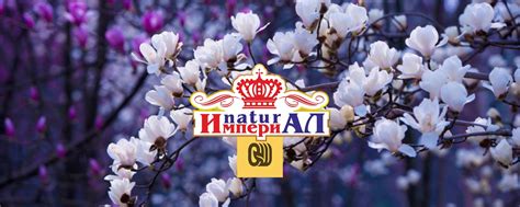Корм для собак и кошек Империал & ОРИГИНАЛШЕФ | Качество как у ...