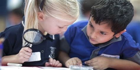 education assignment point