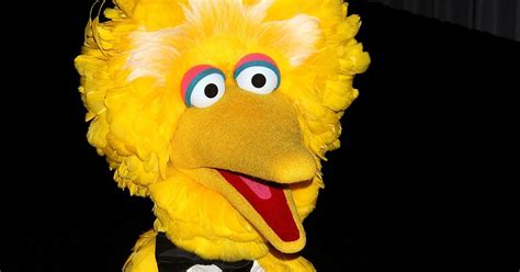 Naked Revellers To Sesame S Street S Big Bird The Stags And Hens