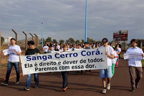 Caminhada E Limpeza Na Sanga Cerro Cor Recolhe Tonelada De Lixo