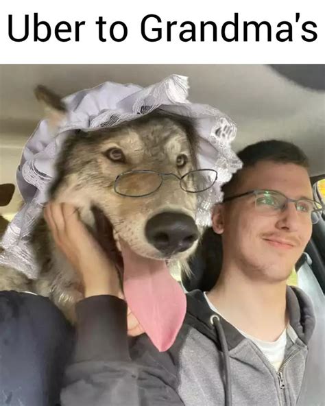 red riding hood rmemes   meme