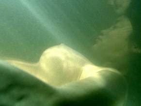 Eugenia Yuan Nude Aznude