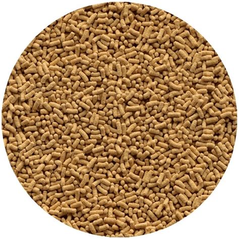 Pond Supplies & Equipment UK | Pond, Aquatics & Reptile | Pond Planet