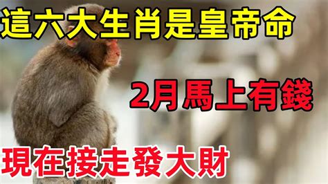 這六大生肖是皇帝命，2月馬上有錢，現在接走發大財！民間俗語中國文化國學國學智慧佛學知識人生感悟人生哲理佛教故事 Youtube