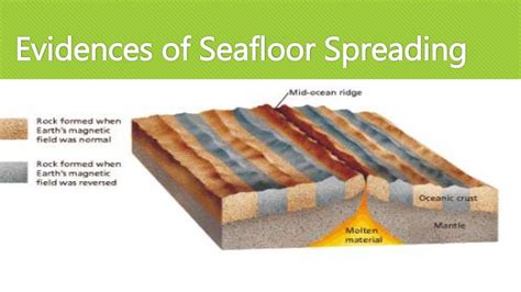 Continental Drift Theory And Seafloor Spreading