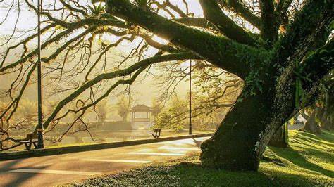 kisah taman tasik taiping destinasi percutian desa moden