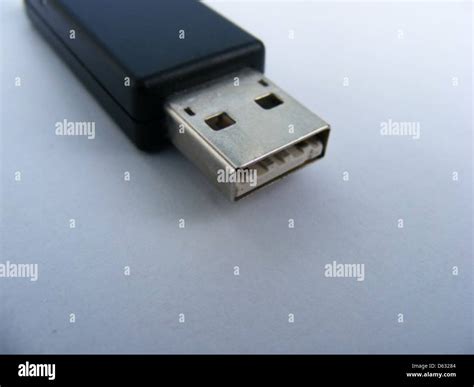 close  image   male usb  connector commonly   data
