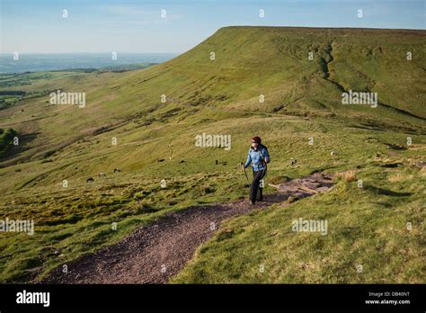 Female Hiker On Trail To Twmpa Lord Herefords Knob Black Mountains