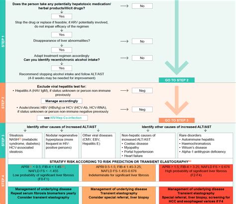 High Ast And Alt / Elevated Liver Enzymes: Causes and Symptoms | IYTmed ...