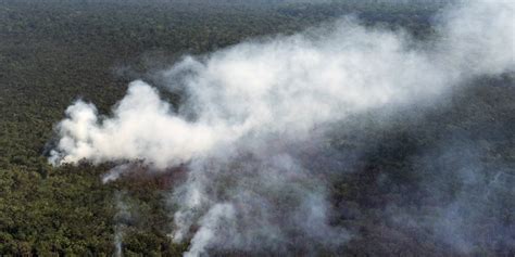 Incendios en el Amazonas dejarán enfermedades menos agua y extinción