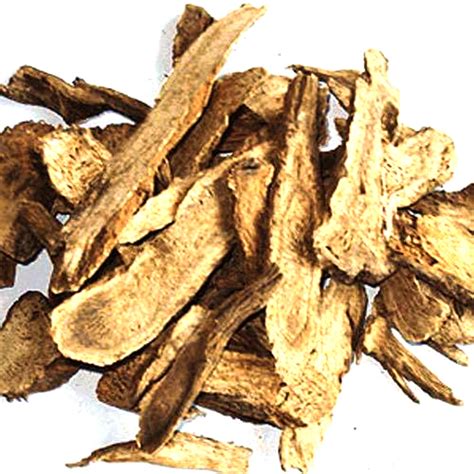 Costus Root at ₹ 750/kilogram | Herbal Root in Jammu | ID: 14497683455